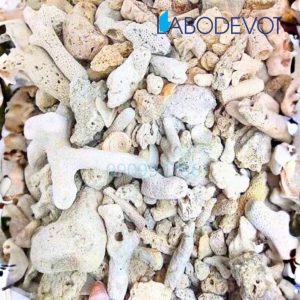 Đá San Hô Vụn Lọc Nước Cho Hồ Cá – Ổn Định pH, Tăng Kiềm