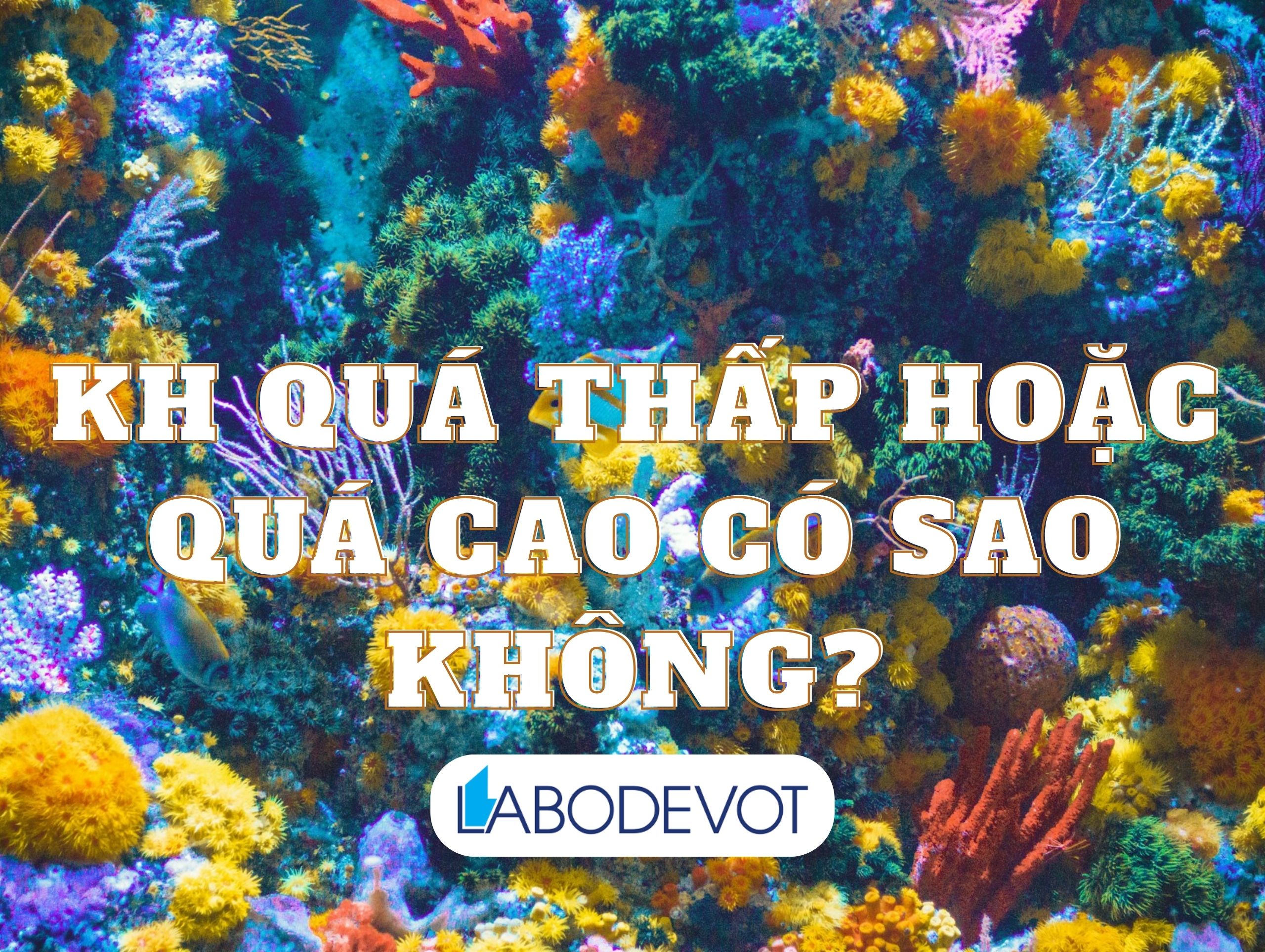 KH quá thấp hoặc quá cao có sao không?