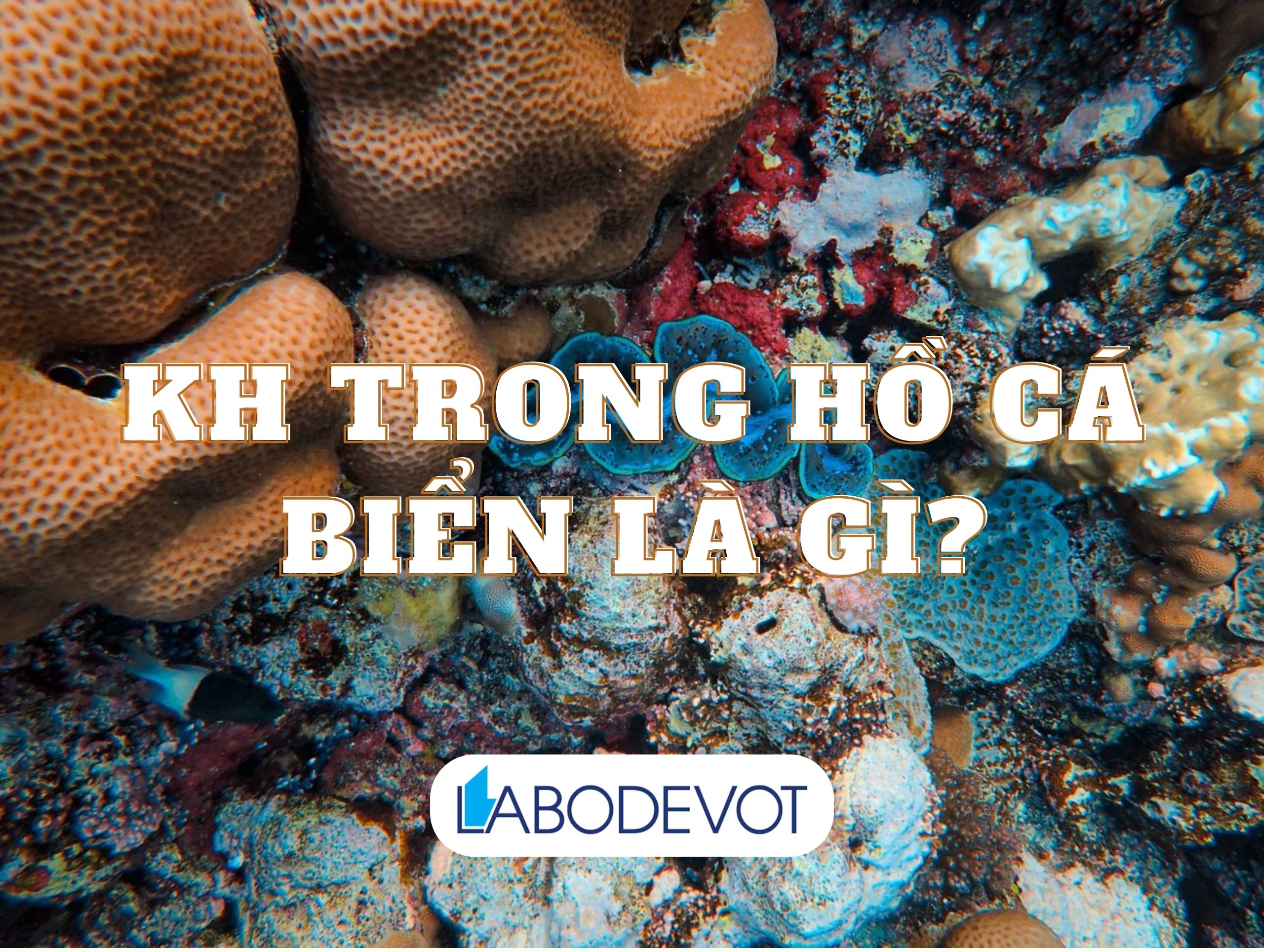 KH trong hồ cá biển là gì?