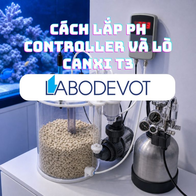 Cách lắp pH Controller và lò canxi T3