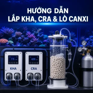 Hướng dẫn lắp AquaWiz KHA CRA và lò canxi